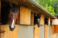 free Little Hereford stable construction quotes
